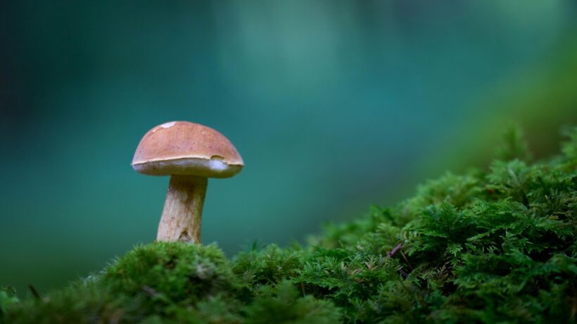 Verejné WC v súkromných priestoroch: Servis, náklady a dopad na reputáciu