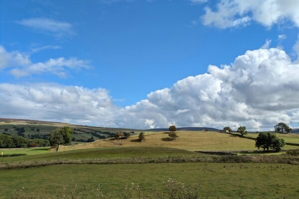 Crowdfunding realít: Poplatková štruktúra, rizikový profil a due diligence
