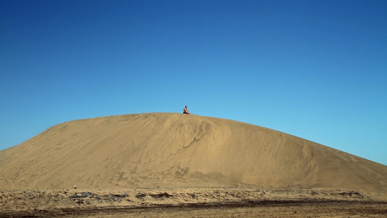 Digital PR s dátami: Tvorba miniprieskumov ako mediálneho aktíva