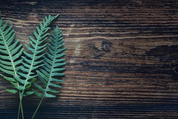 SEO pre marketplace: Stratégie indexácie, riešenie duplicitného obsahu a optimalizácia výpisov