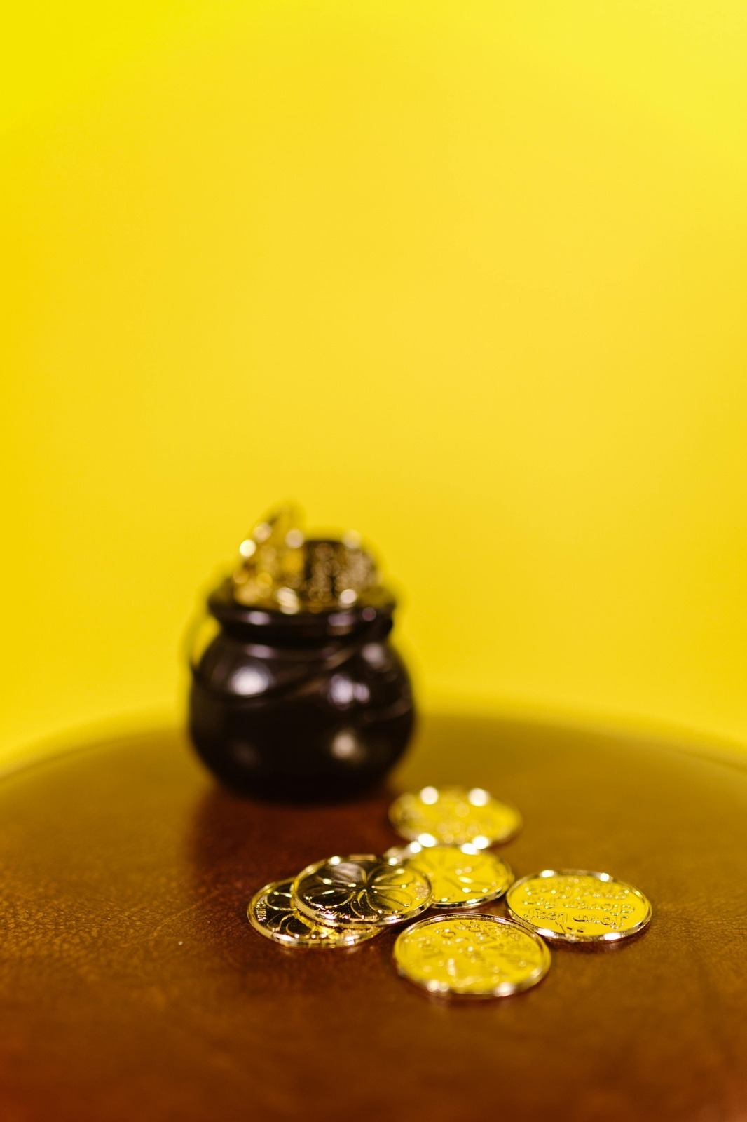 Vzťah medzi menovou a fiškálnou politikou: Interakcie a nezávislosť centrálnej banky