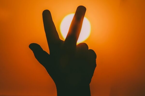 Finančná páka a jej vplyv na rentabilitu: Maximalizácia zisku