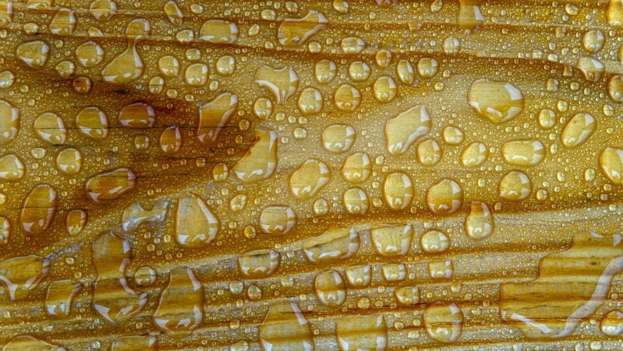 Inventarizácia a uzávierkové operácie: Fyzická a dokladová inventúra