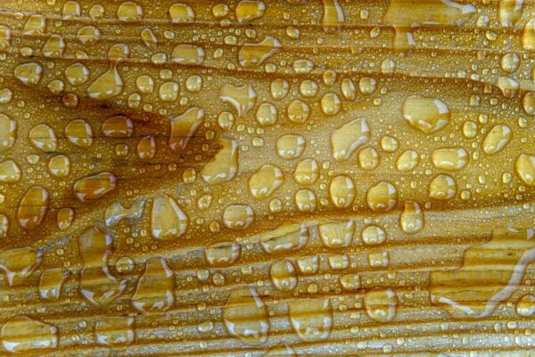 Inventarizácia a uzávierkové operácie: Fyzická a dokladová inventúra