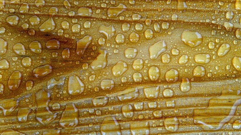 Inventarizácia a uzávierkové operácie: Fyzická a dokladová inventúra