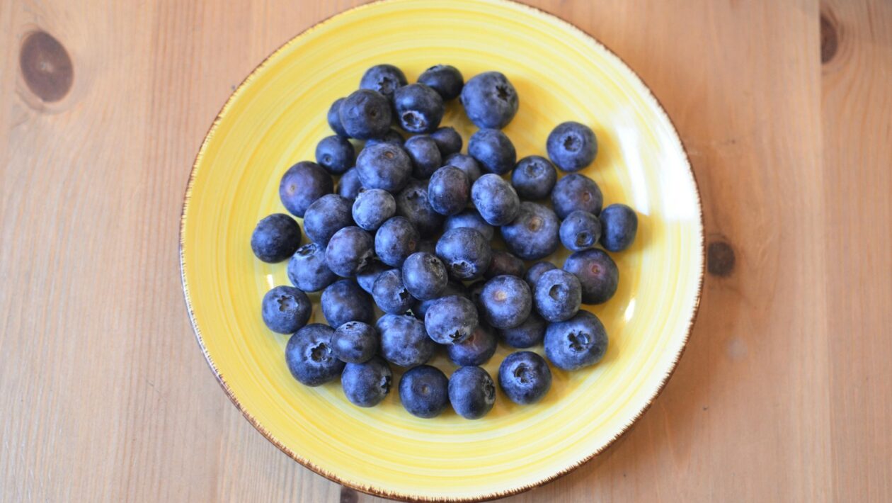 Udržateľnosť sociálneho systému v dlhodobom horizonte: Prognózy