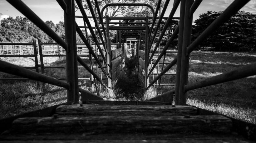 Komerčná vs. investičná banka: Rozdiel v činnosti