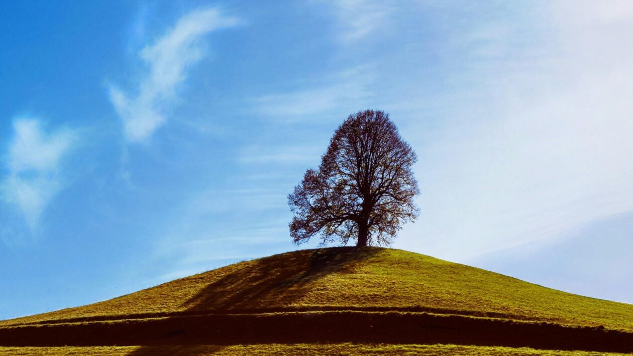 Hypotéka na bývanie: Podmienky získania (LTV, DTI)