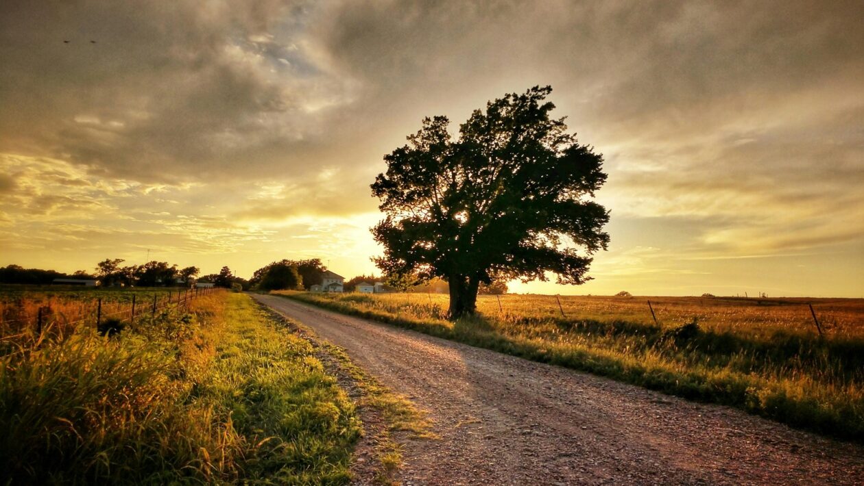 Registre dlžníkov: SRBI, NRKI, CRIF – Funkcia