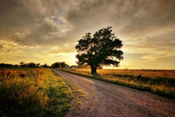 Registre dlžníkov: SRBI, NRKI, CRIF – Funkcia