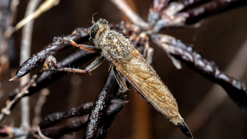 Riziká, ktoré kryje úverové poistenie: Invalidita